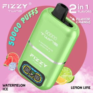 FIZZY TWINS DWUSMAKOWE 50000 PUFFS