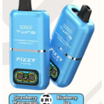 FIZZY TWINS Watermelon Ice Blueberry, jednorazowy vape owocowy dwa smaki, połączenie smaków e-papieros, długotrwały vape owocowy - FIZZY TWINS DWUSMAKOWE 50000 PUFFS - najlepsze smaki vape jednorazowe
