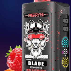 Vape z ekranem LED, inteligentny e-papieros, interfejs vape, monitorowanie płynu i baterii e-papierosa - Inteligentny ekran Akumulator E-papierosa 600 Puff ...