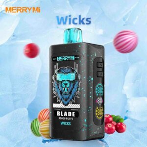 e-papieros z inteligentnym ekranem LED, vape z wyświetlaczem płynu i baterii, przejrzystość e-papierosa smart screen - Inteligentny ekran Akumulator E-papierosa 600 Puff ...