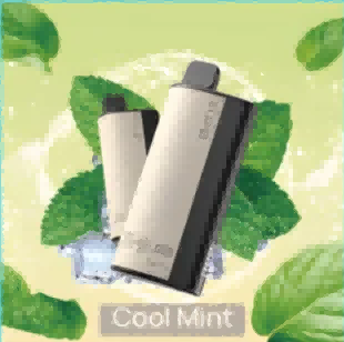 XCOR Hawaii Pro vape, e-papieros z ekranem LED, inteligentny wyświetlacz vape - XCOR Hawaii Pro 23000 PUFFS Cool Mint -