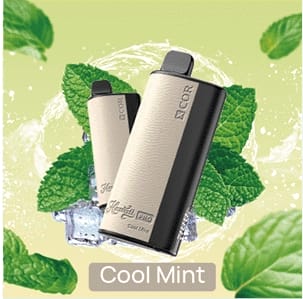 XCOR Hawaii Pro ekran słoneczny, ładowanie Type-C powerbank słoneczny, czytelny wyświetlacz vape outdoor, monitorowanie baterii e-papierosa - Xcor Hawaii Pro 23000 Puffs Jednorazowy Vape