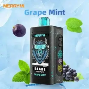 Merrymi Blade 30000 – LED, wygodny i nowoczesny vape | vapepolska